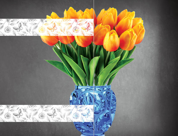 DesignedFilm.com - Biophilia Film 14 - Sample_3