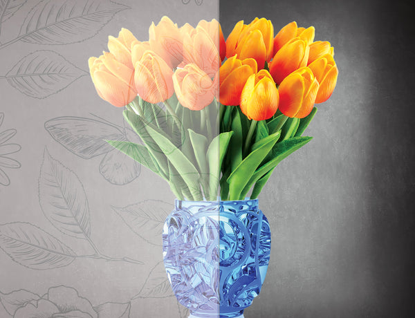 DesignedFilm.com - Biophilia Film 14 - Sample_100