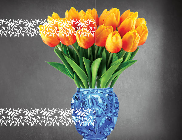 DesignedFilm.com - Biophilia Film 18- Sample_3