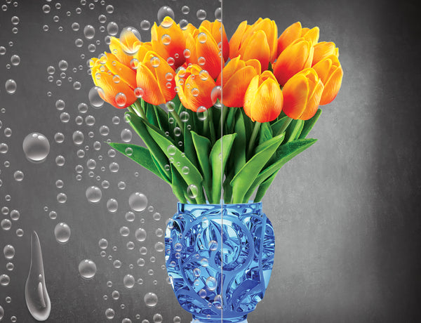 DesignedFilm.com - Biophilia Film 1 - 3Example_100