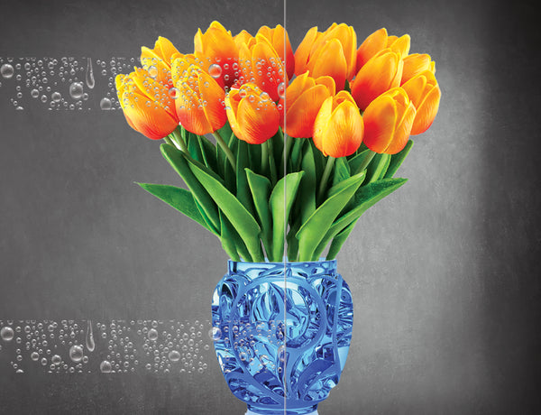 DesignedFilm.com - Biophilia Film 1 - 3Example