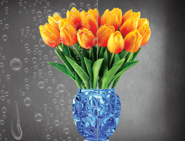 DesignedFilm.com - Biophilia Film 1 - 3Example_50