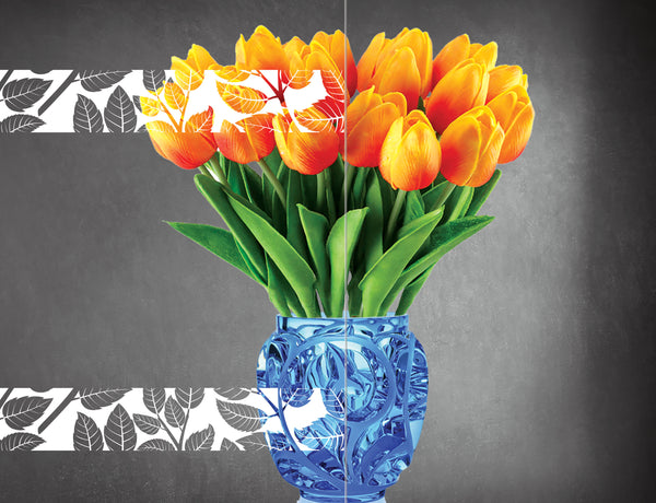 DesignedFilm.com - Biophilia Film 13 - Sample_3