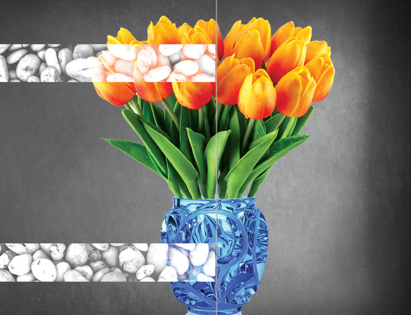 DesignedFilm.com - Biophilia Film 2- Sample_3