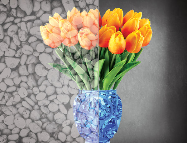 DesignedFilm.com - Biophilia Film 2- Sample_50