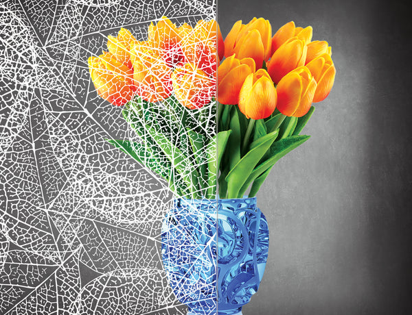 DesignedFilm.com - Biophilia Film 3- Sample_100