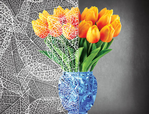 DesignedFilm.com - Biophilia Film 3- Sample_100