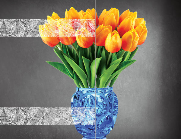 DesignedFilm.com - Biophilia Film 3- Sample_3