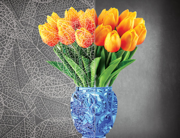 DesignedFilm.com - Biophilia Film 3- Sample_50