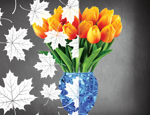 DesignedFilm.com - Biophilia Film 6 - Samples_100