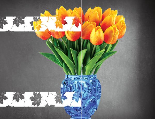 DesignedFilm.com - Biophilia Film 7 - Sample_3