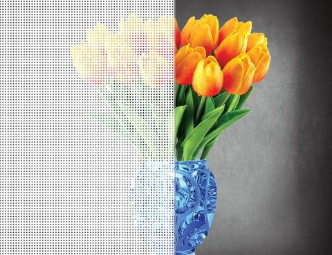 DesignedFilm.com - Square Film 2 - Sample_100