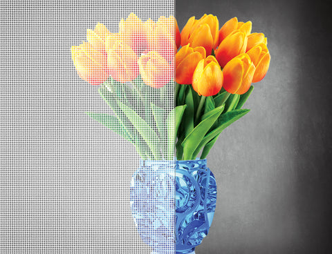 DesignedFilm.com - Square Film 4 - Sample_100