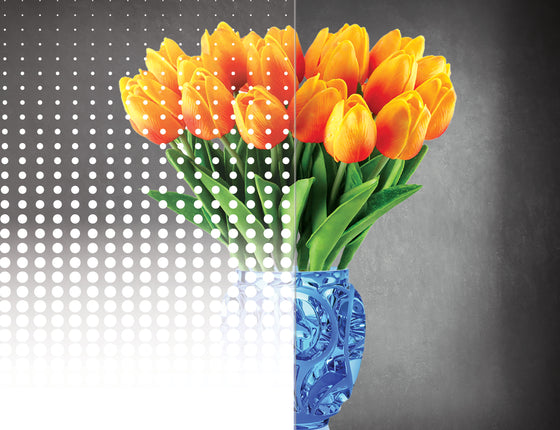 Gradient Dot Film 1